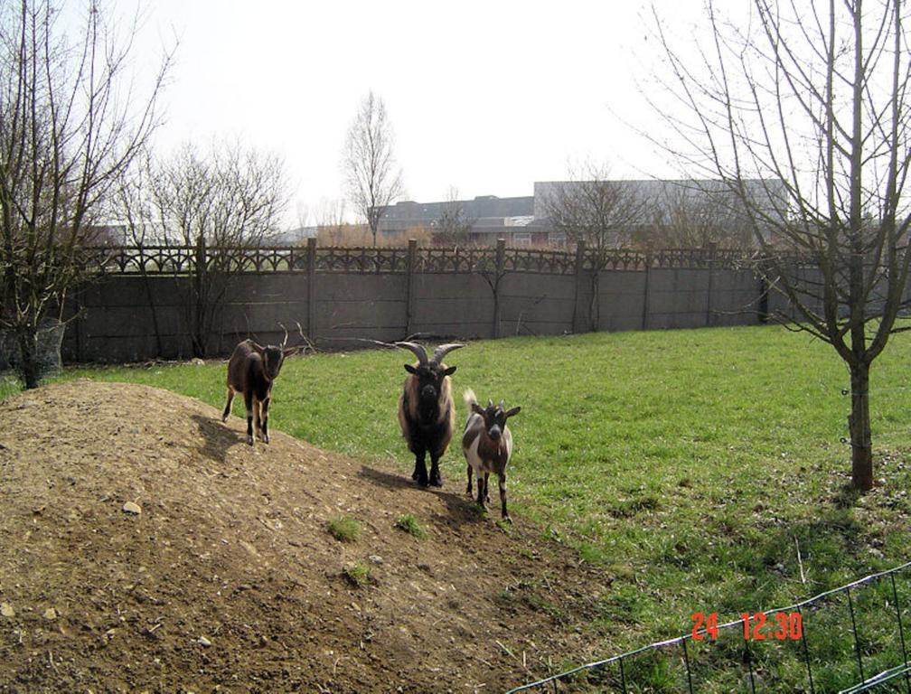 Aux Plumes De Grigy Bed & Breakfast Metz Exterior foto